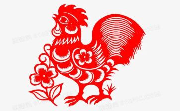 四年级关于鸡的作文优质6篇