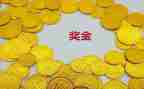 申请奖金申请书5篇