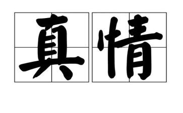 人间处处有真情作文600字5篇