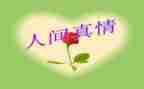 真情作文初中600字初中作文7篇