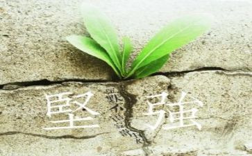 用坚强写作文7篇