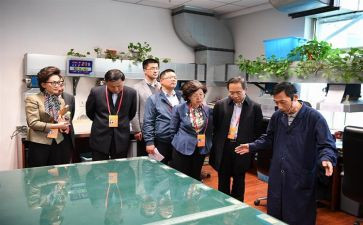 监委会述职廉报告最新5篇