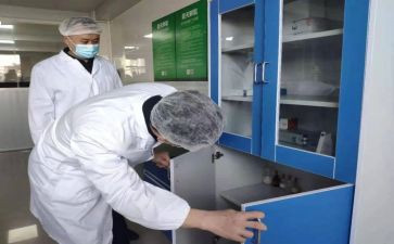 检验周工作总结5篇
