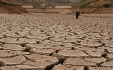 2024防灾减灾日活动总结5篇