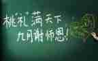 教师专业个人总结精选8篇