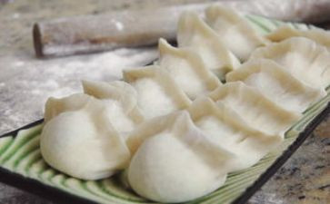 冻饺子作文通用5篇