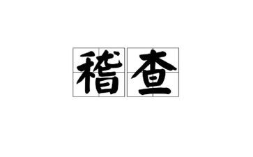 会计稽查工作总结5篇
