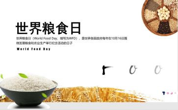 节粮食心得推荐7篇