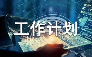 计划员个人总结优质5篇