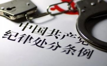 纪律师心得体会6篇