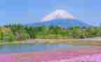 春写景作文500字推荐7篇