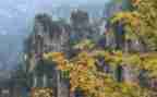 写景的100作文参考8篇
