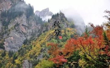幼儿园节气活动总结总结6篇