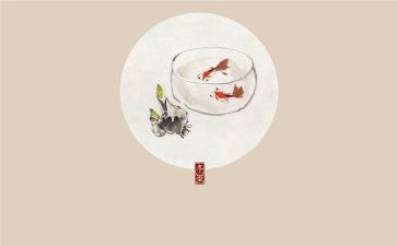 节气活动策划8篇