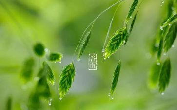 24节气的活动方案7篇