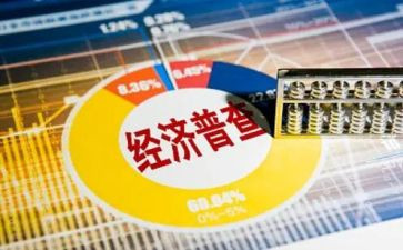 乡镇四经普工作总结优秀6篇