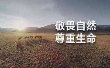 敬与畏为作文优秀8篇