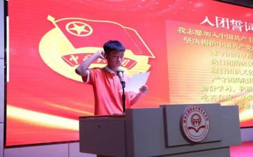 进团委的个人工作总结通用5篇