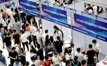 高校2024年就业工作总结6篇