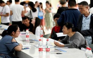 2024年大学生就业力调查报告8篇