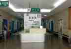 急诊科护士节演讲稿8篇