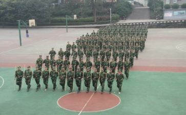 作文军训心得体会500字5篇