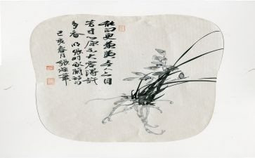 君子兰作文优质6篇