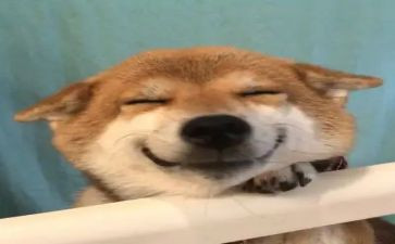 一次开心作文5篇