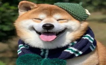 这件事,让我开心作文7篇