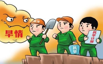 防汛抗旱活动总结5篇