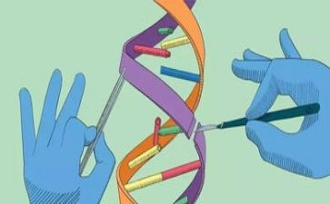 小班科学蛋宝宝教案5篇