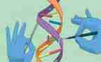小班科学蛋宝宝教案5篇
