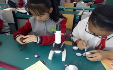小学科学课教研工作计划参考7篇