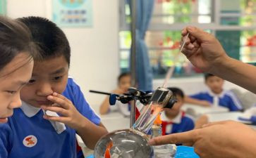 科学课教案优质8篇