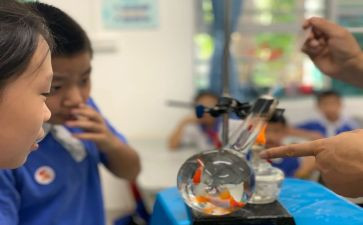 幼儿园科学课工作总结8篇