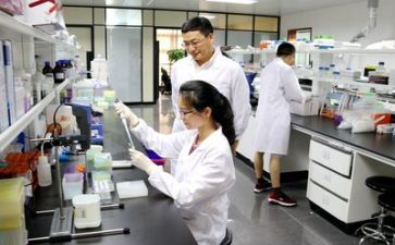 科研个人工作总结5篇