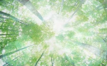 幼儿园抓空气教案精选6篇