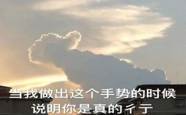 作文夸夸我的同学500字5篇