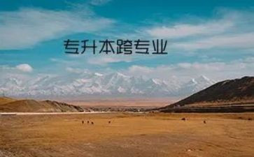 大学跨专业申请书模板8篇