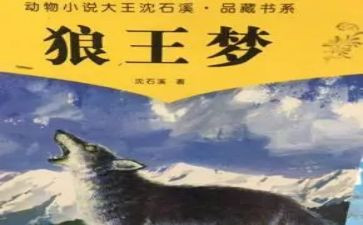 狼王梦的读后感500字5篇