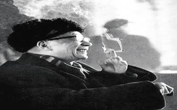 老舍的猫读后感500字5篇