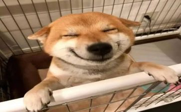 三年级快乐作文300字5篇