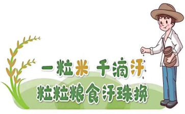 粮食节约发言稿800字6篇