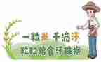 粮食节约发言稿800字6篇