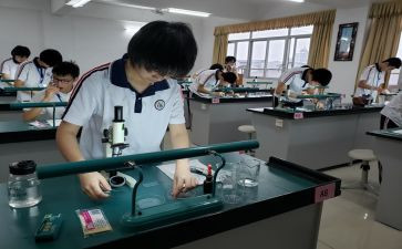 理化生工作计划精选7篇