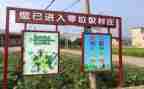 垃圾分类活动活动总结推荐5篇
