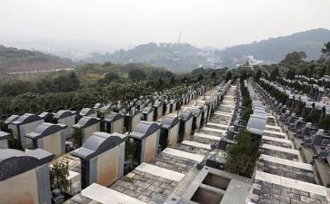 清明节祭扫烈士陵园活动总结7篇