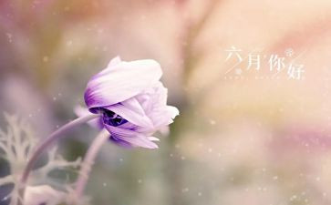 幼儿园中班六月份工作计划6篇