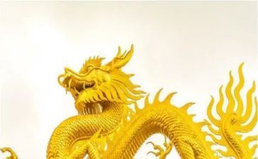 游金华双龙洞的教案8篇