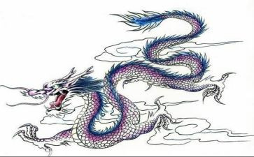 寻龙岛作文5篇